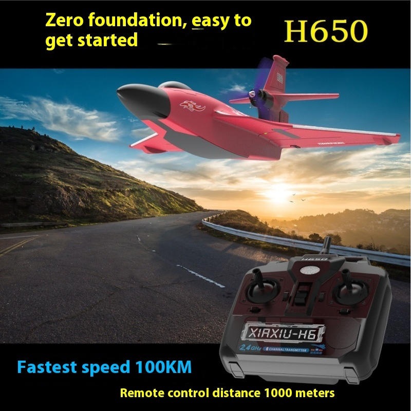 H650 Großes RC-Flugzeug mit fe – Rc Glider Foam Wing Bewertung und Preis