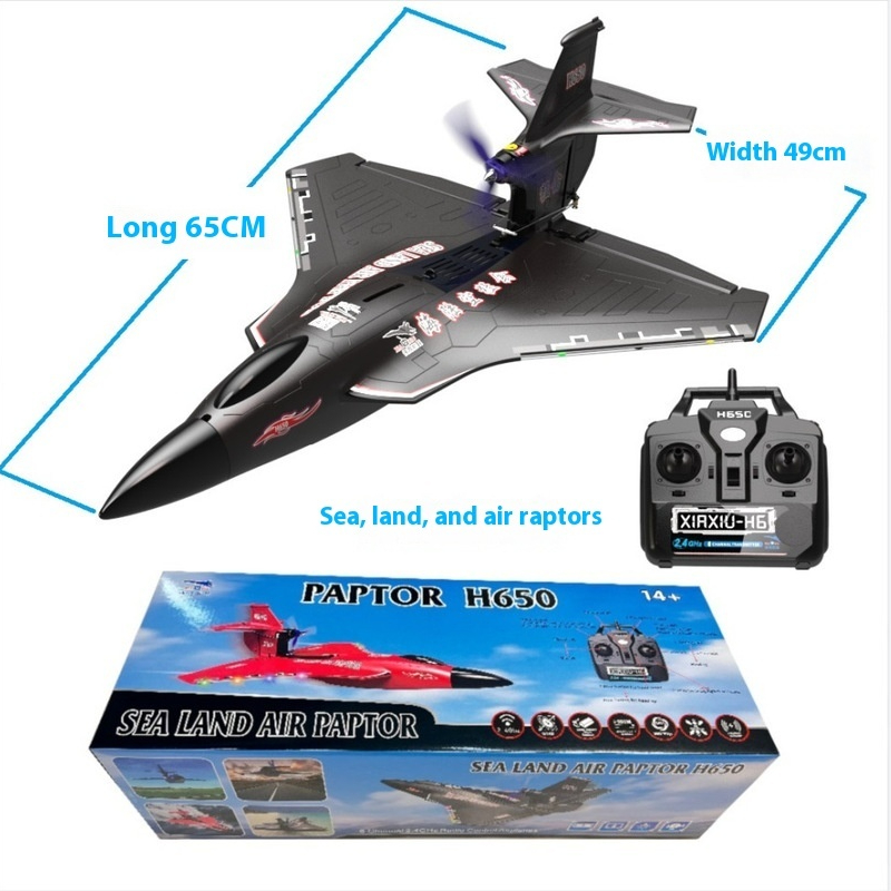 H650 Großes RC-Flugzeug, wasse – Rc Glider Foam Wing Bewertung und Preis